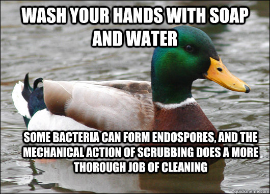 Wash your hands with soap and water some bacteria can form endospores, and the mechanical action of scrubbing does a more thorough job of cleaning  Actual Advice Mallard