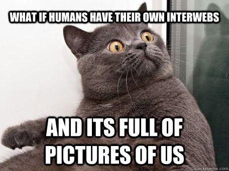 WHAT IF HUMANS have their own interwebs and its full of pictures of us - WHAT IF HUMANS have their own interwebs and its full of pictures of us  conspiracy cat