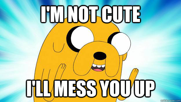 I'm not cute I'll mess you up - I'm not cute I'll mess you up  Jake The Dog