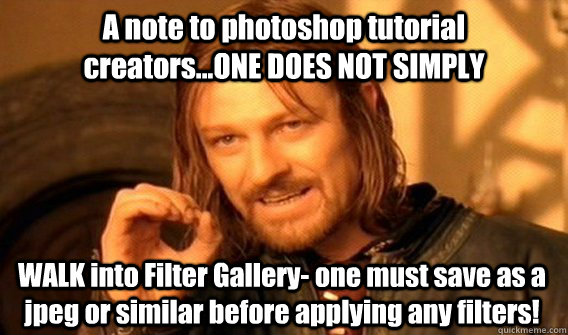 A note to photoshop tutorial creators...ONE DOES NOT SIMPLY WALK into Filter Gallery- one must save as a jpeg or similar before applying any filters!   One Does Not Simply