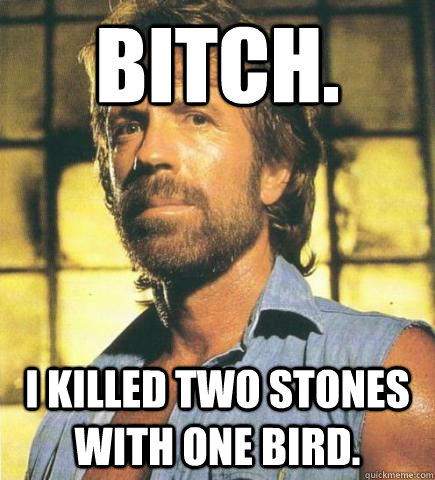 bitch. i killed two stones with one bird. - bitch. i killed two stones with one bird.  Chuck Norris