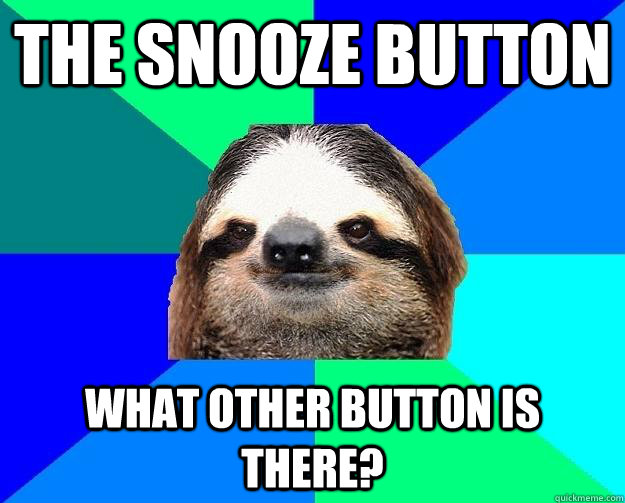 the snooze button what other button is there? - the snooze button what other button is there?  Socially Lazy Sloth