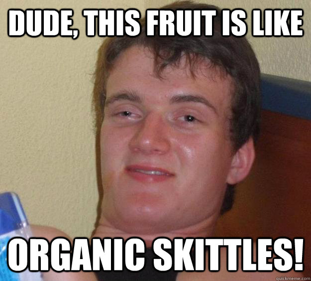 Dude, this fruit is like organic skittles! - Dude, this fruit is like organic skittles!  10 Guy
