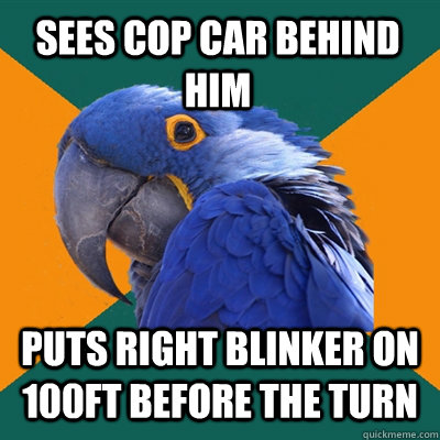 sees cop car behind him puts right blinker on 100ft before the turn  Paranoid Parrot
