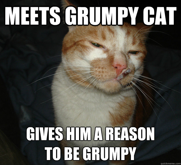 Meets Grumpy Cat Gives Him a Reason
to Be Grumpy - Meets Grumpy Cat Gives Him a Reason
to Be Grumpy  Cool Cat Craig