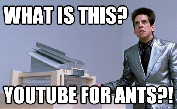 WHAT is this? Youtube for ants?!  School for ants