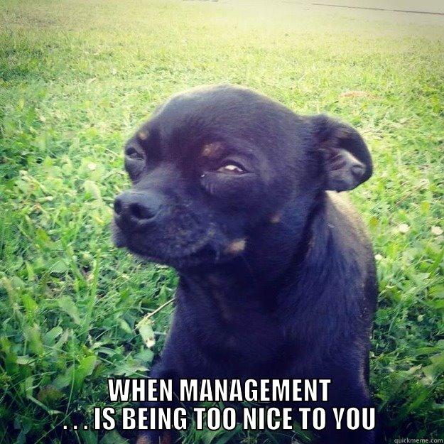  WHEN MANAGEMENT . . . IS BEING TOO NICE TO YOU Skeptical Dog