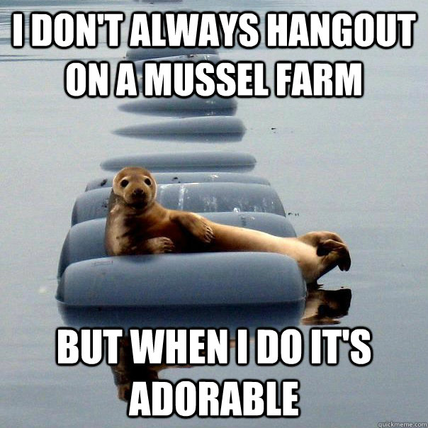 I don't always hangout on a mussel farm but when I do it's adorable - I don't always hangout on a mussel farm but when I do it's adorable  Misc