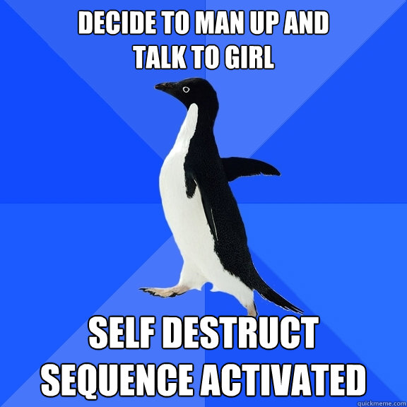 decide to man up and                     talk to girl
 self destruct sequence activated  Socially Awkward Penguin