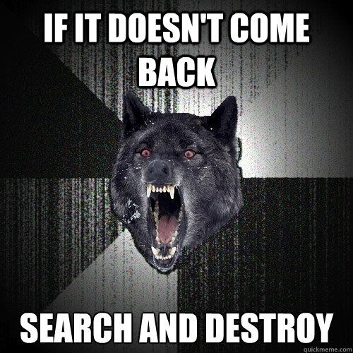 IF IT DOESN'T COME BACK SEARCH AND DESTROY  Insanity Wolf