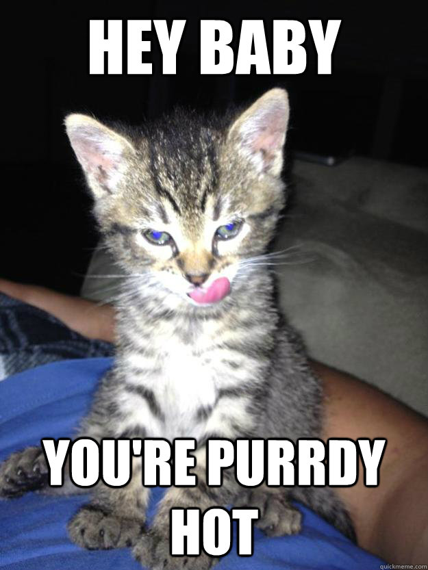 Hey baby You're PURRdy hot  