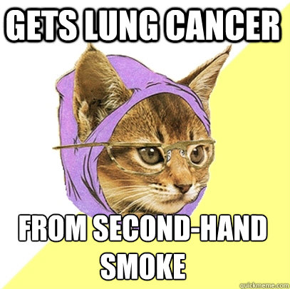 Gets Lung Cancer From Second-hand Smoke  Hipster Kitty