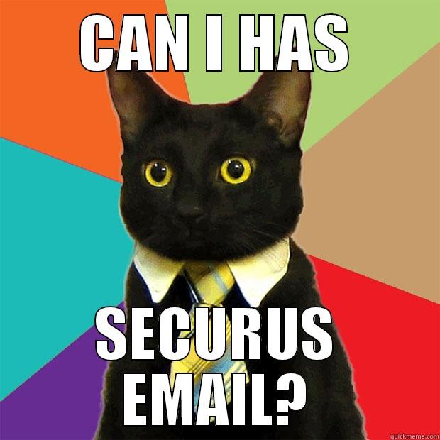 office cat - CAN I HAS SECURUS EMAIL? Business Cat