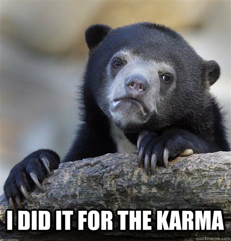  I did it for the karma  Confession Bear