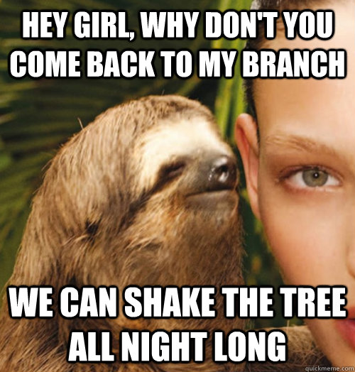 Hey Girl, why don't you come back to my branch We can shake the tree all night long  Whispering Sloth