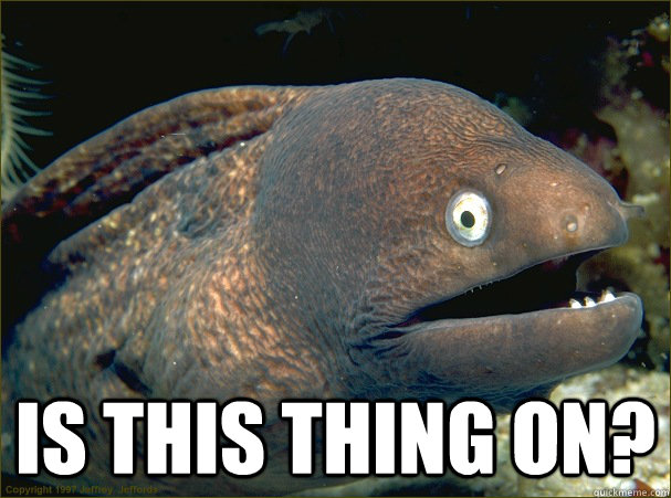  Is this thing on?  Bad Joke Eel