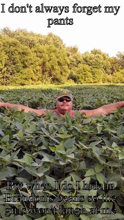 I DON'T ALWAYS FORGET MY PANTS BUT WHEN I DO I HIDE IN BRANDON'S BEANS SO THE GIRLS WON'T LAUGH AT ME Misc