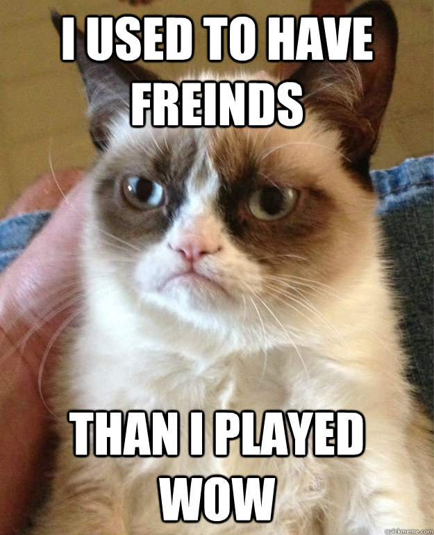I used to have freinds Than I Played Wow  Grumpy Cat