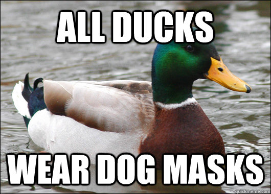 All ducks wear dog masks - All ducks wear dog masks  Actual Advice Mallard