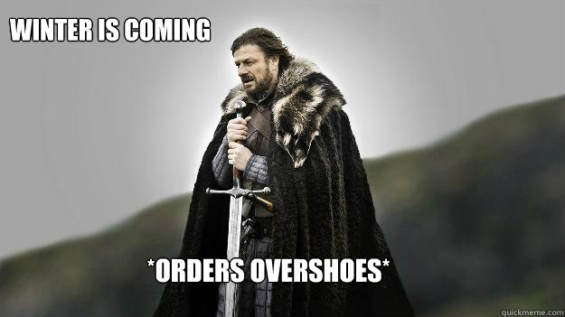 Winter is coming *orders overshoes*  Ned stark winter is coming