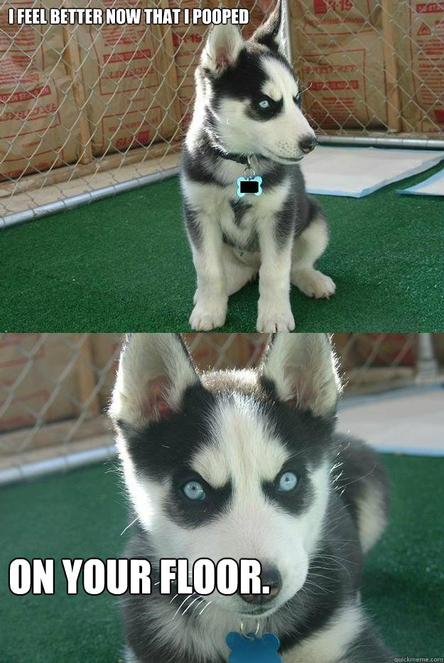 i feel better now that i pooped on your floor.  Insanity puppy