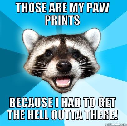 THOSE ARE MY PAW PRINTS BECAUSE I HAD TO GET THE HELL OUTTA THERE! Lame Pun Coon