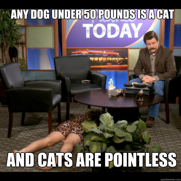 Any dog under 50 pounds is a cat And cats are pointless Caption 3 goes here  Ron Swanson