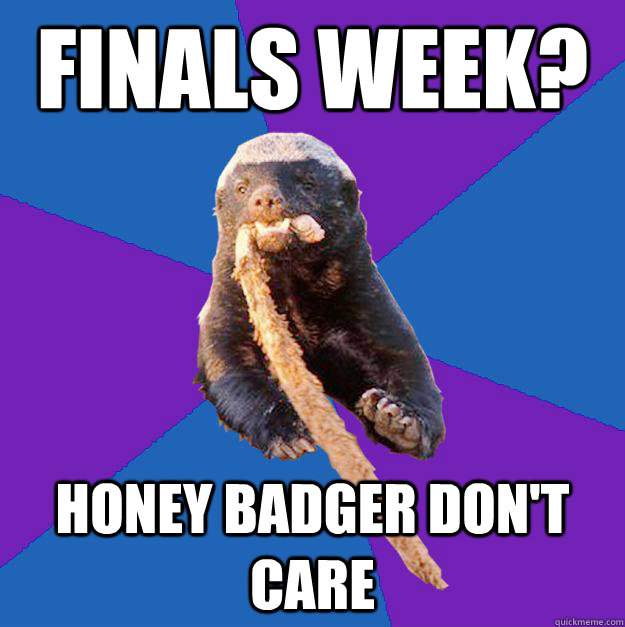 Finals week? honey badger don't care  Honey Badger Dont Care