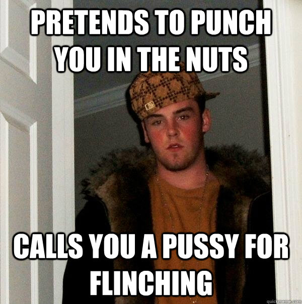 pretends to punch you in the nuts calls you a pussy for flinching - pretends to punch you in the nuts calls you a pussy for flinching  Scumbag Steve