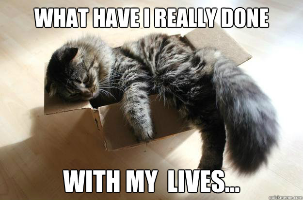 What have I really done with my  lives...  Retrospective Cat