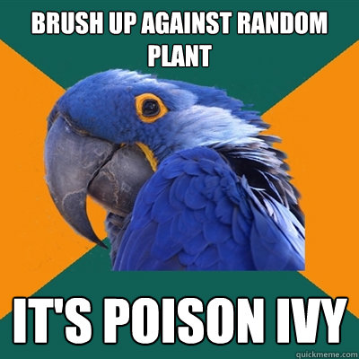 Brush up against random plant It's poison ivy  Paranoid Parrot
