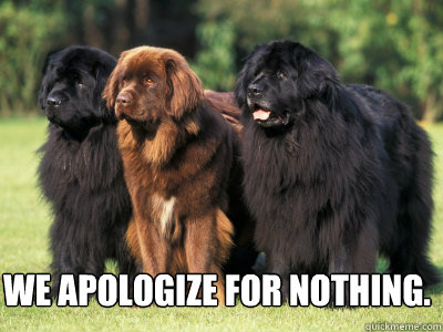 We apologize for nothing.  Newfoundland