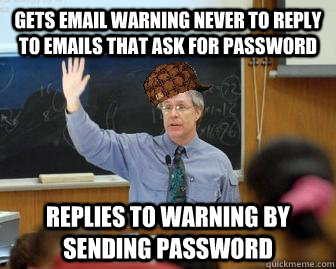 gets email warning never to reply to emails that ask for password replies to warning by sending password  Scumbag Professor