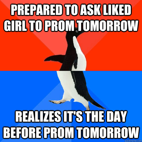prepared to ask liked girl to prom tomorrow realizes it's the day before prom tomorrow - prepared to ask liked girl to prom tomorrow realizes it's the day before prom tomorrow  Socially Awesome Awkward Penguin