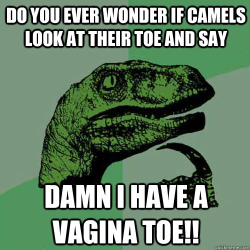 Do you ever wonder if camels look at their toe and say DAMN i have a vagina toe!!  Philosoraptor