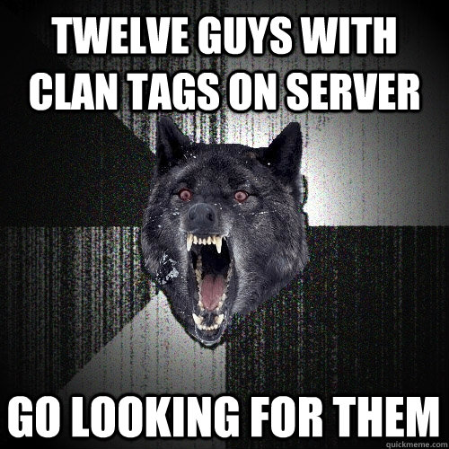 twelve guys with clan tags on server go looking for them  Insanity Wolf