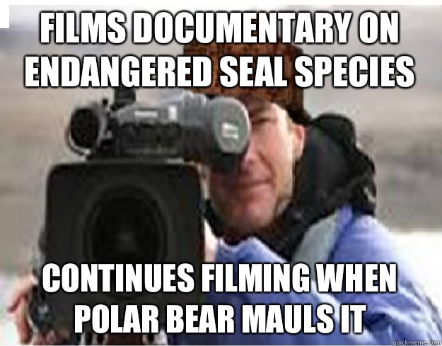 Films documentary on endangered seal species Continues filming when polar bear mauls it  