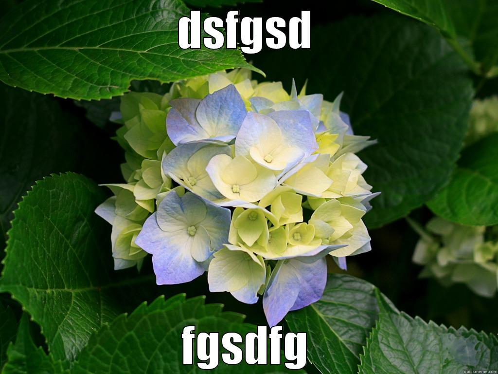 DSFGSD FGSDFG Misc