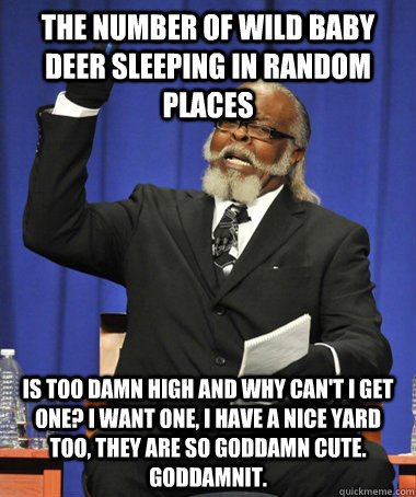 the number of wild baby deer sleeping in random places is too damn high and why can't i get one? i want one, i have a nice yard too, they are so goddamn cute. goddamnit.  The Rent Is Too Damn High