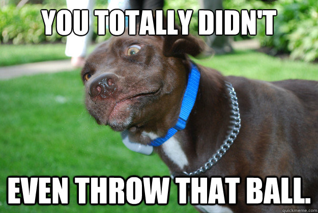 you totally didn't  Even throw that ball. - you totally didn't  Even throw that ball.  miffed mutt