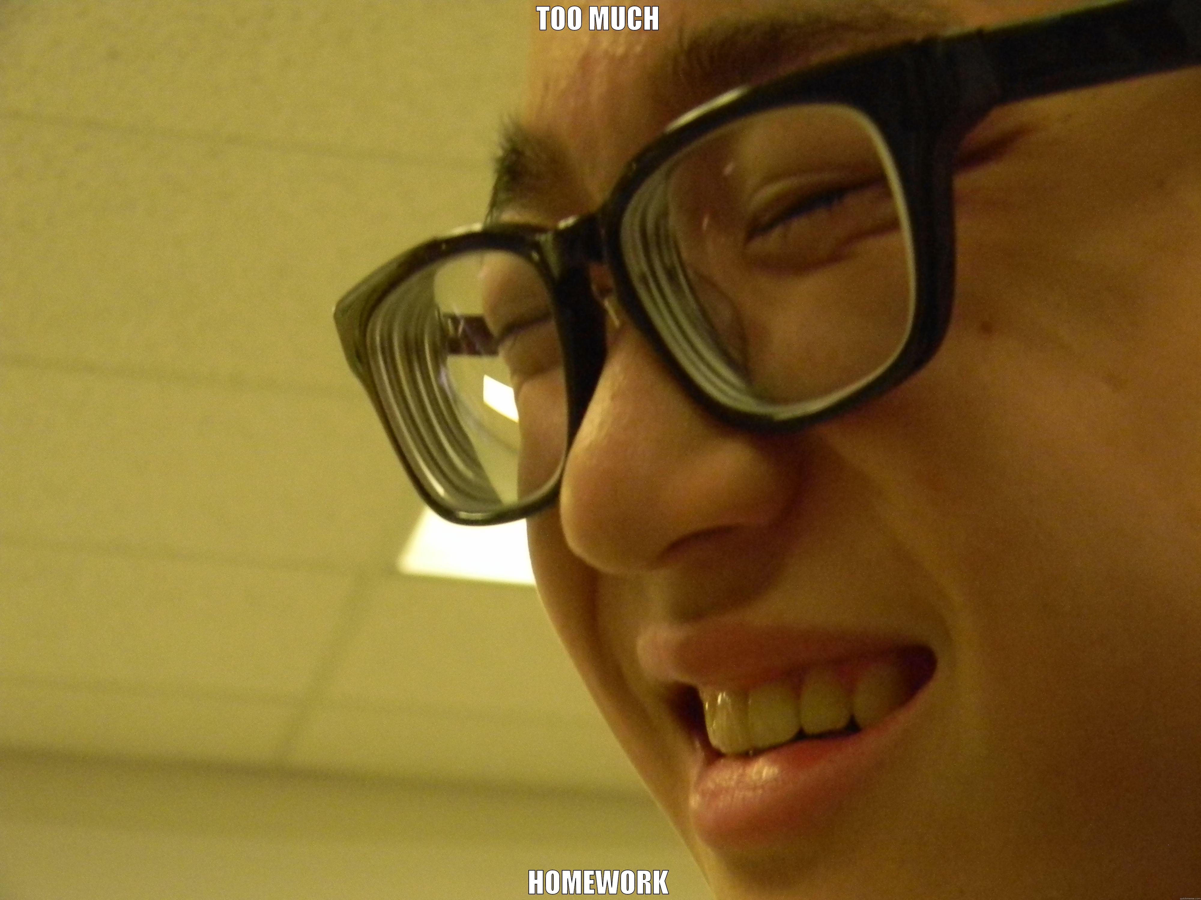 I have too much homework memes image
