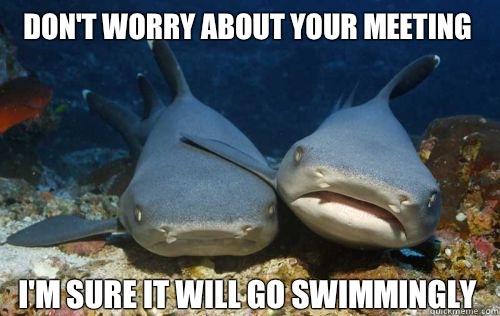 don't worry about your meeting i'm sure it will go swimmingly  Compassionate Shark Friend