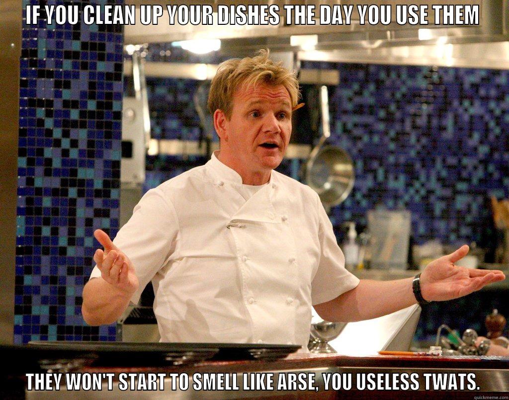 IF YOU CLEAN UP YOUR DISHES THE DAY YOU USE THEM THEY WON'T START TO SMELL LIKE ARSE, YOU USELESS TWATS. Misc