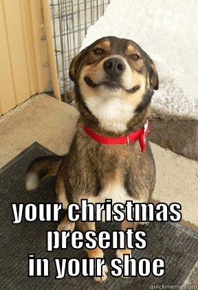  YOUR CHRISTMAS PRESENTS IN YOUR SHOE Good Dog Greg