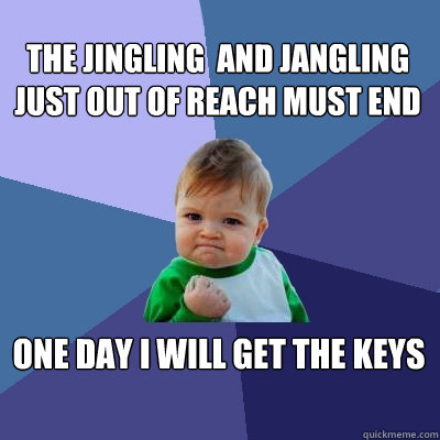 The jingling  and jangling just out of reach must end One day I will get the keys  Success Kid