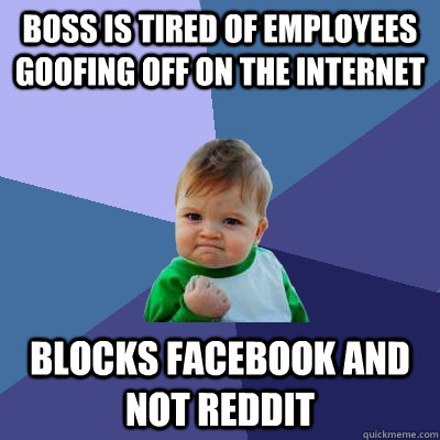 Boss is tired of employees goofing off on the internet Blocks facebook and not reddit - Boss is tired of employees goofing off on the internet Blocks facebook and not reddit  Success Kid