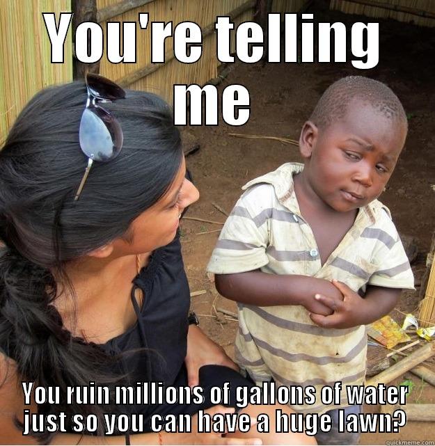 YOU'RE TELLING ME YOU RUIN MILLIONS OF GALLONS OF WATER JUST SO YOU CAN HAVE A HUGE LAWN? Skeptical Third World Kid