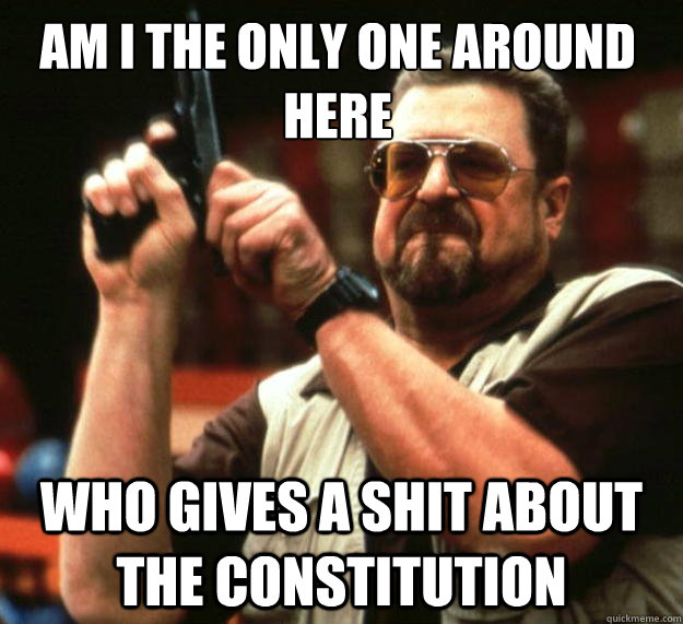 Am I the only one around here who gives a shit about the constitution  Walter