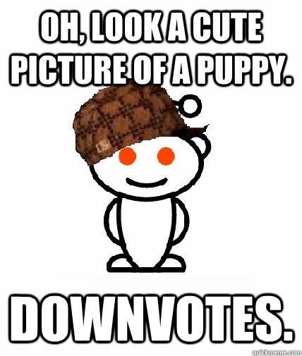Oh, look a cute picture of a puppy. Downvotes.  Scumbag Redditor