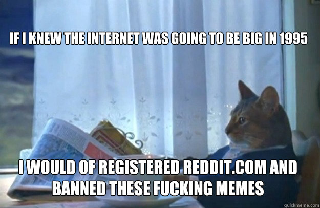 IF I KNEW THE INTERNET WAS GOING TO BE BIG IN 1995 I WOULD OF REGISTERED REDDIT.COM AND BANNED THESE FUCKING MEMES  Sophisticated Cat